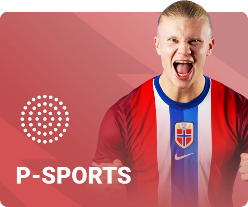 Pk14 - Nhà Cái Cá Cược Trực Tuyến Uy Tín Số 1 Tại Việt Nam 5 Psport