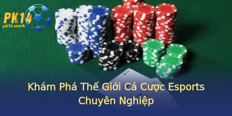 Khám Phá Thế Giới Cá Cược Esports Chuyên Nghiệp Khám Phá Thế Giới Cá Cược Esports Chuyên Nghiệp