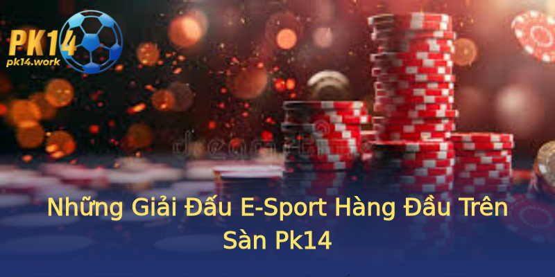 Những Giải Đấu E-Sport Hàng Đầu Trên Sàn Pk14 Những Giải Đấu E-Sport Hàng Đầu Trên Sàn Pk14