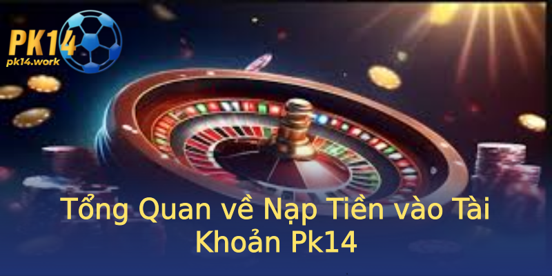 Tổng Quan về Nạp Tiền vào Tài Khoản Pk14 Tổng Quan về Nạp Tiền vào Tài Khoản Pk14
